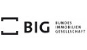 BIG Logo